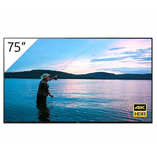 FWD-75X905H Sony 4K 75\