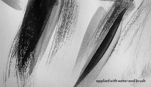 ProGraphite Künstlergraphit I 185 g I schwarz I Naturgraphit I Künstler Pulver I Naturgrafit zum Zeichnen Schattieren usw. I Graphite Powder I für Handwerker I Graphitpulver Zeichnen