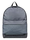  Quiksilver Everyday Poster Embossed Bolsa Escolar, 42 cm, 25 Liters, Gris (Iron Gate)