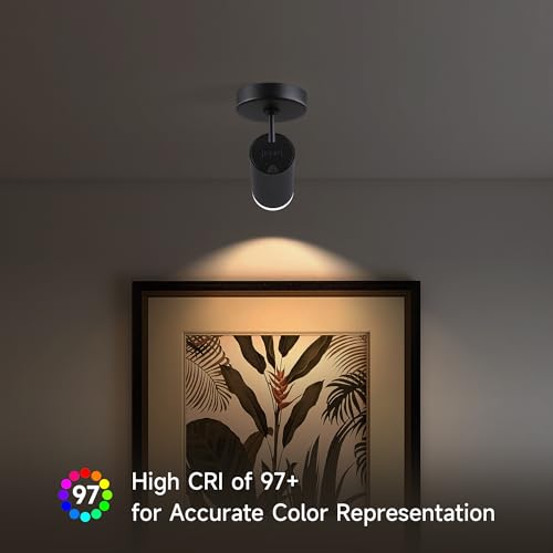 Image of 9W LED Dimmable Ceiling Spotlight Indoor - Adjustable Accent Surface Mount Spot Light for Corridor, Living Room, Plants & Artwork | Warm White 3000K CRI 97 Directional Fixture, Black Finish