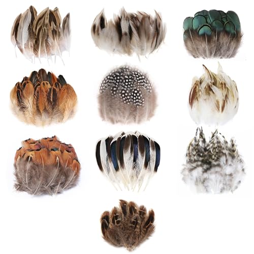 MWOOT 300 Stück Federn zum Basteln, 10 Stile Natürliche Gemischte Deko Bastelfedern für DIY Traumfänger Ohrringe Hüte Maske Ostern Karneval Halloween Deko MWOOT 300 Stück Federn zum Basteln, 10 Stile Natürliche Gemischte Deko Bastelfedern für DIY Traumfänger Ohrringe Hüte Maske Ostern Karneval Halloween Deko