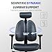 FLEXISPOT Ergonomic Office Chair with Dual Back Support, Home Office Desk Chairs, Swivel Computer Chair, Comfy with Dynamic Double Lumbar Support 4D Arm Rest OC5 (Black)