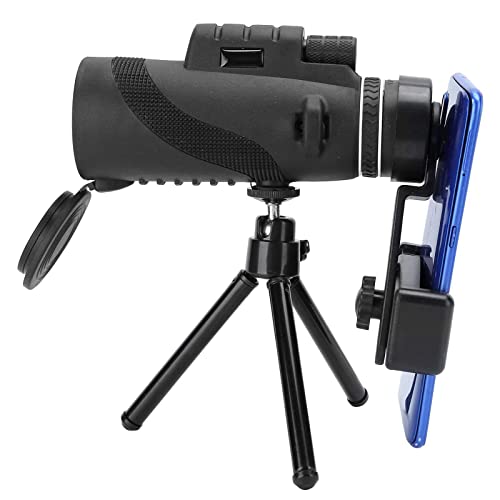 X}zp]Y gѓdb] P] dbY[Y 50{Y[ { RT[g s Ԍp