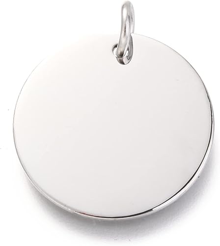 10 etiquetas de sublimación de acero inoxidable 304 pulidas, redondas, de metal, para grabar, de platino, en blanco, para perros, grandes, para