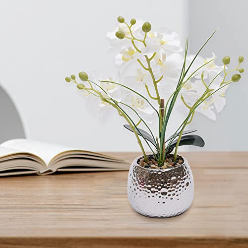 Fleurs de phalaenopsis pour table et salon de style moderne - 4