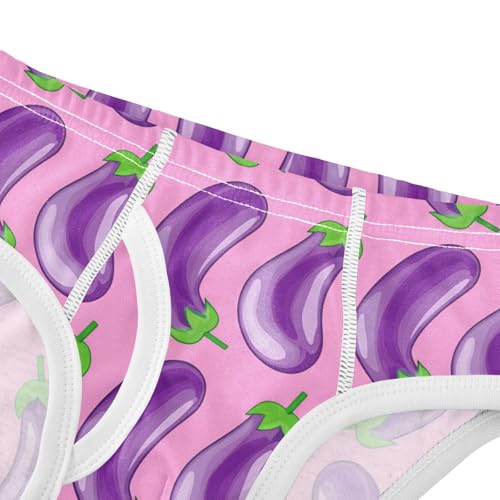 Colorful Eggplants Toddler Boy's Underwear 2T 202c12064