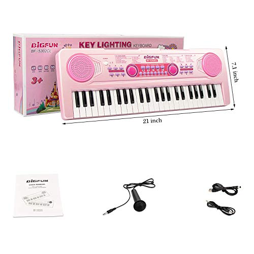 aPerfectLife Chargable Keyboard Piano, 49 Keys Multi-Function Electronic Kids Piano Keyboard Educational Toy Organ for Beginners and Kids with Charging Function (Pink)