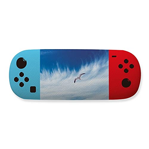 Étui à lunettes nuages et oiseaux bleu ciel idéal pour vos voyages