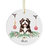 bichon habanero precio argentina Regalos: ¡Los adornos navideños son un regalo significativo y conmovedor para familiares, amigos, parejas, vecinos, abuelos o cualquier persona que ame los adornos! Puedes enviarlos a familiares y amigos como regalo navideño; será la manera perfecta de crear recuerdos imborrables y entrañables.