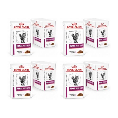 Test auf allergie gegen katze igg ige