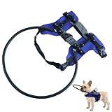 Arnés para perros ciegos, arnés para gatos ciegos con tiras reflectantes, anillo de protección anticolisión para mascotas, para paseos, entrenamiento, actividades al aire libre, senderismo, uso en