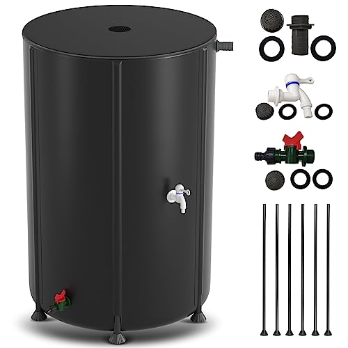 Best Rain Barrels Composters A Sustainable Solution for Your Garden