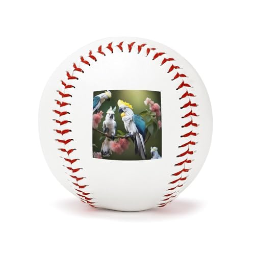Balle de baseball tie dye 22,9 cm pour entraînement de frappe
