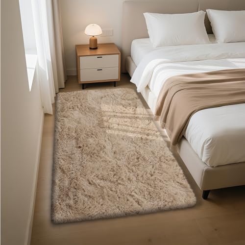 Fluffy Rug Shaggy Area Rug, Beige 3x5 Area Rugs for Bedroom, Small Bedside Rug, Soft Fluffy Shaggy Entryway Throw Rugs for Living Room Bedroom Kids Room Home Decor