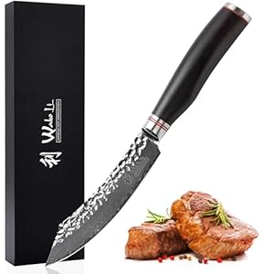 Wakoli EBO Premium Steakmesser 25 cm – 67 Lagen Damaststahl, VG10-Kern, 12,5 cm Hammerschlag-Klinge mit schwarzem Holzgriff I Rasiermesserscharfes Damastmesser für Steakliebhaber in Geschenkbox