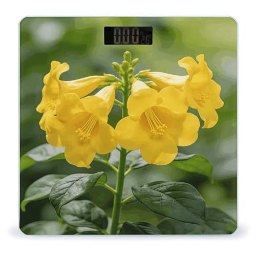 Báscula Digital de Baño Amarilla Body Weight Scale miniatura 1
