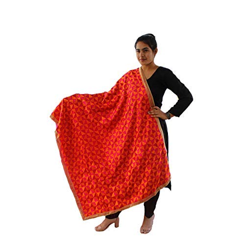 Sahej Suits Orange Phulkari Bagh