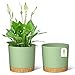 ZMTECH Blumentopf 20 cm Durchmesser übertöpfe für zimmerpflanzen, Kunststoff blumentöpfe mit Untersetzer und Abflusslöchern, Rund pflanztöpfe für Innen Außen Pflanzen(2er-Set, Grün)