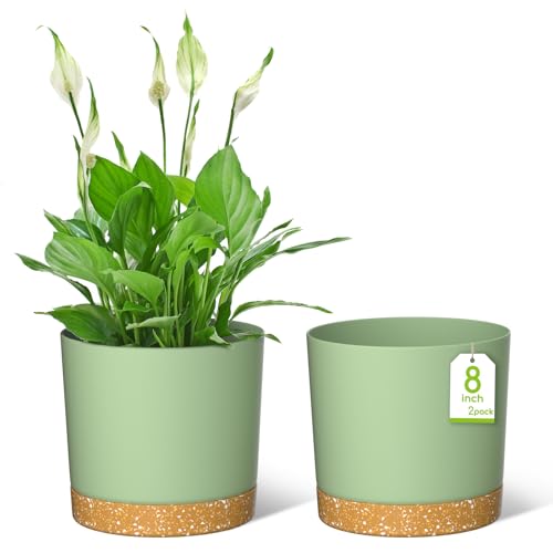 ZMTECH Maceta de 20 cm de diámetro para plantas de habitación, macetas de plástico con posavasos y agujeros de drenaje, macetas redondas para interior y exterior (juego de 2, verde)