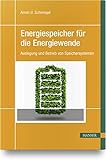 energiespeicher englisch  Energiespeicher für die Energiewende: Auslegung und Betrieb von Speichersystemen