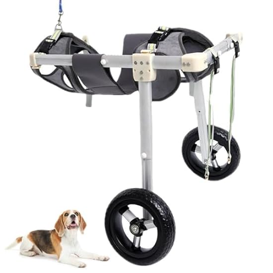 大型犬用 健康補助食品 R&U90 (100粒) 送料無料 大型犬用 健康補助食品 R&U90 (100粒) 送料無料