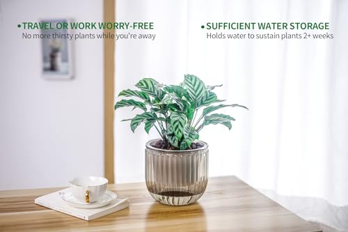 image for Melphoe 2 Pack Self Watering Hanging Planters Indoor Flower Pots, 6.5 