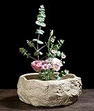 Les épingles des aiguilles pour arrangement floral sont en acier inoxydable. Les épingles sont assez solides pour contenir différents types de fleurs et de plantes.
