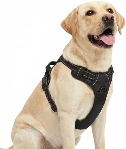 Funfox Anti Zug Hundegeschirr Grosse Hunde mit 2 Ringe, Schwarz | Verstellbar, Weich Gepolstert, Griff, Nachts Reflektierend, Frontclip Hund Geschirr für Spaziergang, XL