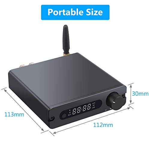 ESYNiC 192 kHz / 24 bit Hifi Amplificatore Audio