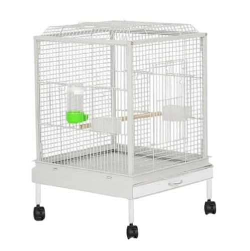 LAJOKING ^ALX^[tAړ|ȒPAOpAANAItA܂܂ȒɓKĂ܂B (zCg,M020)