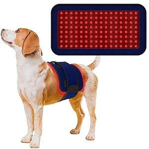 Red Infrared Light Therapy Belt for Pets Pain Relief, Portable Wearable Cold Laser Therapy Device for Dogs Tissue Repair, Joint & Back Pain