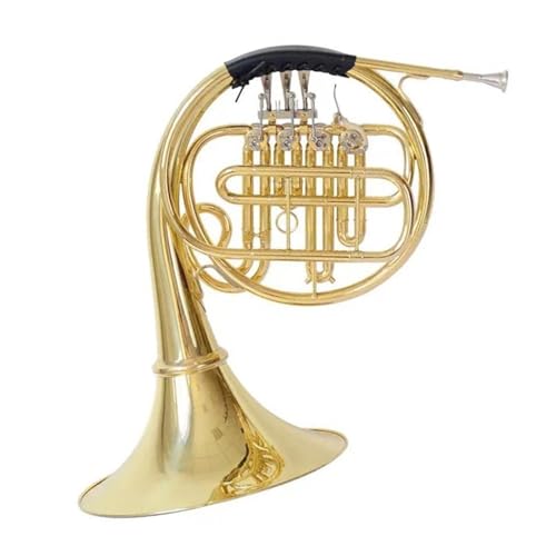 t`zy vtFbViȋǊy t`z Bb ptH[}Xp