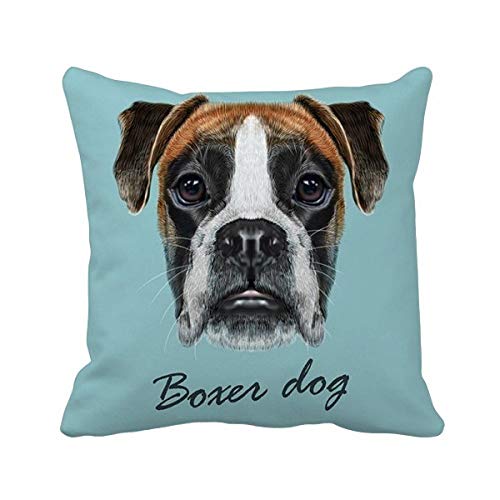 Coussin Boxer Lop-EARD housse de canapé carrée multicolore 40x40 cm - 2