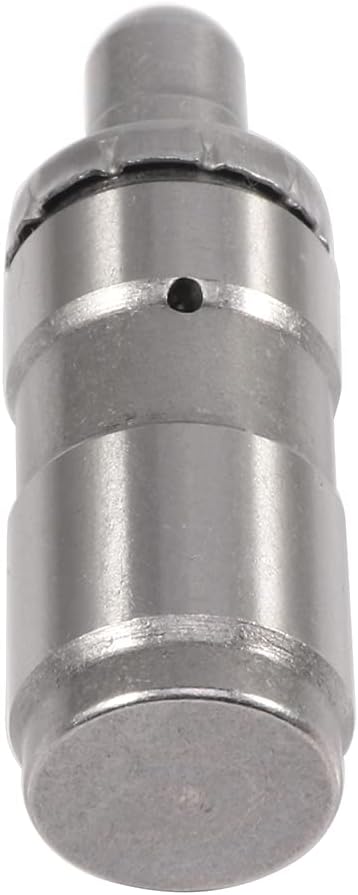 cciyu 16PCS Hydraulic Tappets fit 1995-1997 1999 2000 for Chrysler Cirrus 1995-1999 2001-2006 2008 for Chrysler Sebring 2001-2010 for Chrysler PT Cruiser replaces JB-2278, LF5020