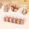60PCS Egg Cartons Cheap Bulk 12 Count Chicken Egg Tray Holders with Sticker Labels for Fresh Medium Eggs, Clear Empty Chicken Egg Carton for Chicken Farm Business Market Home Refrigerator Storage