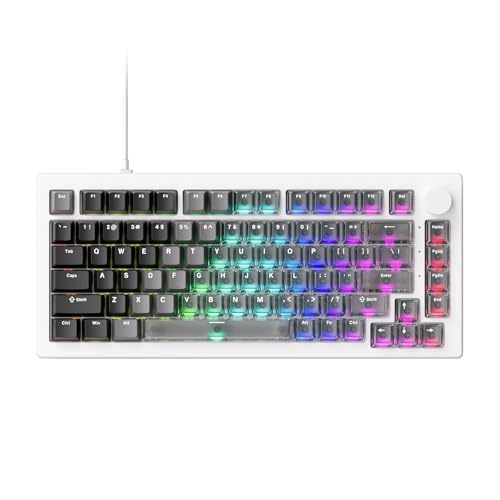 Akko Teclado con Cable 5075 V3 HE de Disparo Rápido, Interruptor magnético de Efecto Hall, tasa de sondeo de 8K, RT0.005 mm, diseño QWERTY del 75%, RGB (Blanco híbrido Degradado Transparente)