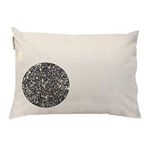 Beans72 Organic Buckwheat Pillow – Japanese Size (14 inches × 20 inches) Made in USA