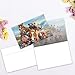 Tree-Free Greetings EcoNotes 12 Count Horses Selfie All Occasion Notecard Set with Envelopes, 4 x 6 Inches (FS56896)