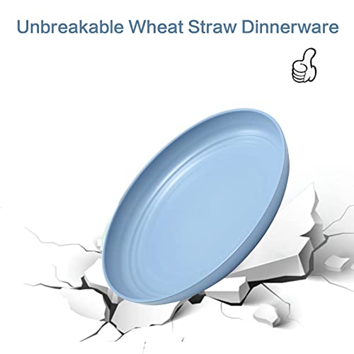 Hanmfei Wheat Straw Plates, 9.8 Inch Dish Set For 8, Dinner Plates, Kids Plates, Unbreakable Dinnerware, Microwave Plate, Salad Plates, Camping Dishes, Serving Plates, Camping Plates (Multicolor) #TOP3