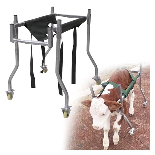 PEYNIR Carro para pantorrillas Carro para terneros, Ajustable Carritos de bipedestación asistidos para terneros, Acero Inoxidable Ayuda de Movilidad con Soporte Completo, para terneros recién Nacidos