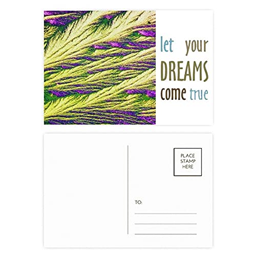Cartes postales plumes Reeds correspondance papeterie lot de 20