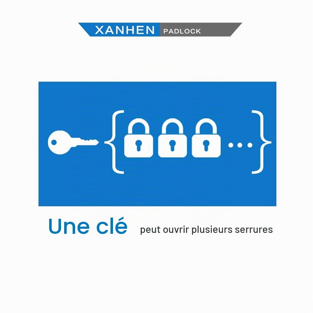 Lot de 12 cadenas d'extérieur à clé avec la même clé – Cadenas à clé en acier laminé avec anse normale, pour loquet à moraillon, abris de jardin, clôtures, casier de rangement, école, salle de sport