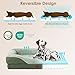 EHEYCIGA Orthopädisches Hundebett Grosse Hunde, 106.5x76x18.5cm, Memory Foam Waschbar und Wasserdicht Hundekorb mit 4 Rändern, Hundesofa Hundecouch rutschfest, Grün