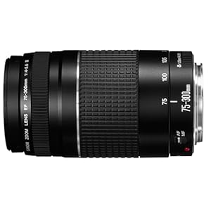Canon EF 75-300mm f/4-5.6 III Telephoto Zoom Lens (Black)