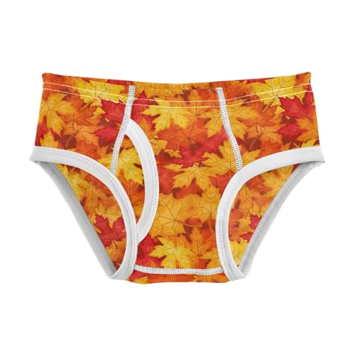 Boys' Exclusive Briefs Toddler Underwear 95% Combed Cotton Boxerbriefs 2T Autumn Leaf Pattern 42