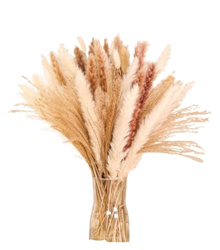 Pampas Grass Large 80Pcs White Pampa Grass Decor miniatura 2