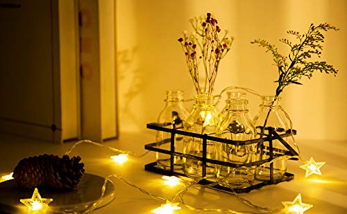 Diamond Star QD94006 Mason Jar Flower Vases Decorative Glass Bottles Set With Metal Basket thumb #8