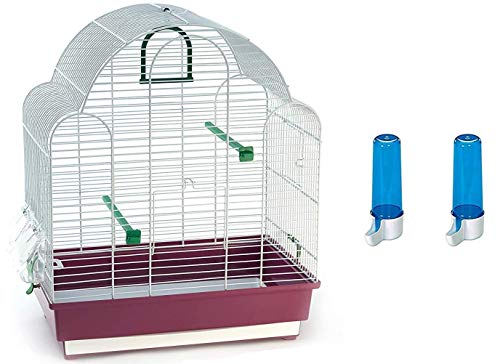 Gabbia uccelli canarino cocorite con cassetto