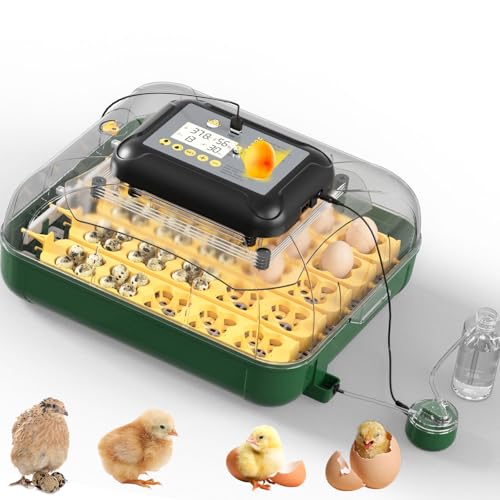 25-Egg Auto Refilling Hatch Monitor