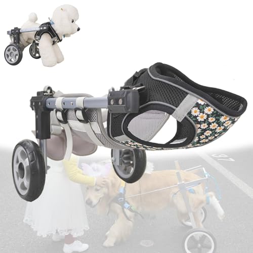 Fauteuil roulant pour chien réglable et léger avec soutien des pattes arrière